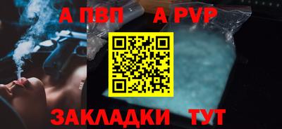 гашик Кингисепп