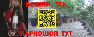 гашик Кингисепп