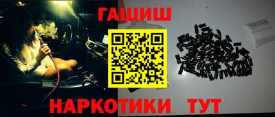 гашик Кингисепп